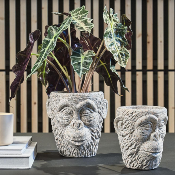 Κασπώ Γορίλας μικρός grey 12457